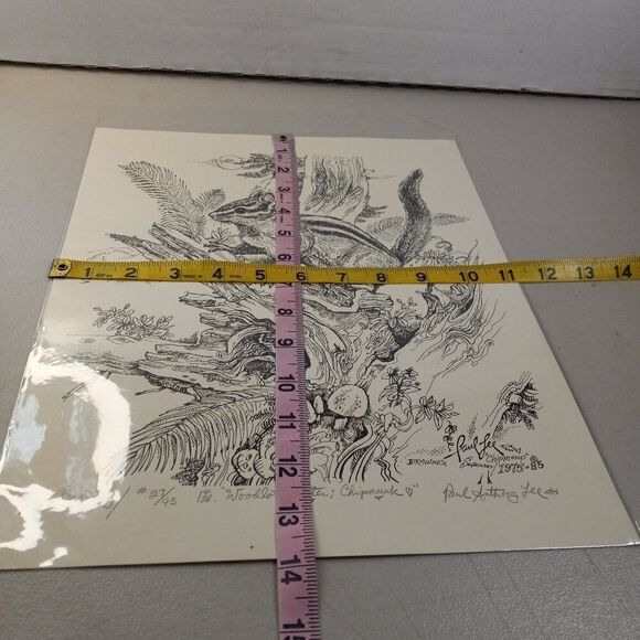 Paul Lee Drawing #27/95 1st ed. "Woodlot Jester: Chipmunk" 1975-85 - Picture 6 of 8